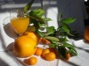 Naranjas dulces de primera calidad
